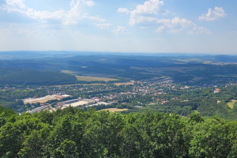 Von der EBHC in Ungarn